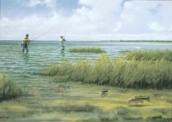 Fishing scene