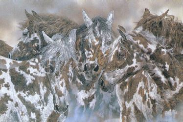 Group of horses in fog with hidden wolves in spots