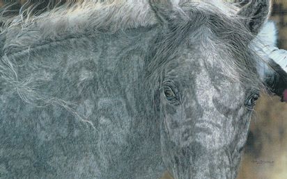 Gray horse with hidden face of chief Red Horse in shading